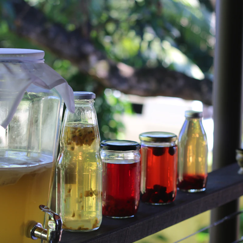 Berry Hibiscus Kombucha Duo β Beverages at Qihistore Shop