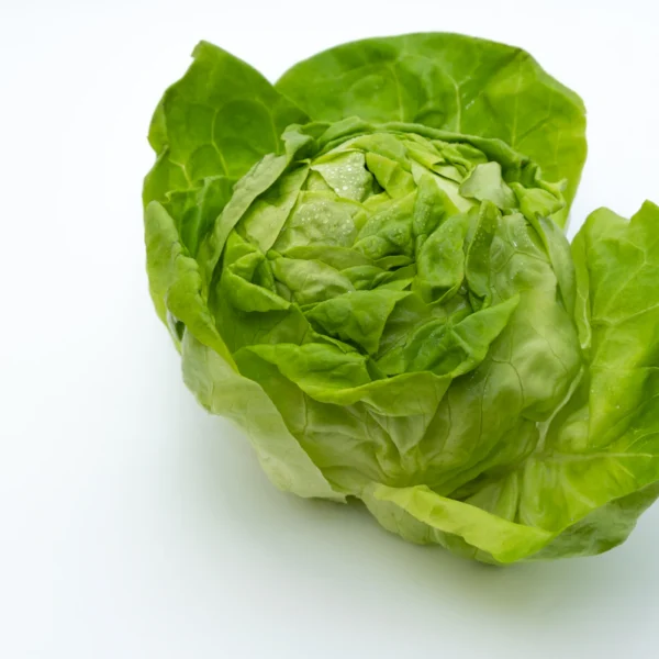 Butter Lettuce Twin Pack — Fresh Produce at Qihistore Shop
