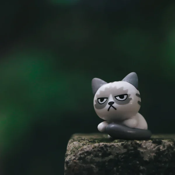 Catnip Kicker Trio — Pet Supplies at Qihistore Shop