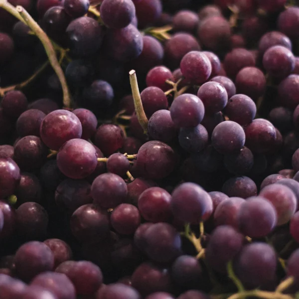 Cotton Candy Grapes 1.5 lb — Fresh Produce at Qihistore Shop