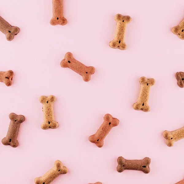 Durable Rubber Chew Bone — Pet Supplies at Qihistore Shop