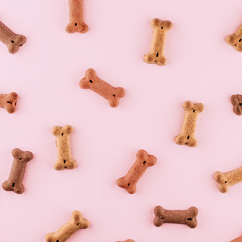 Durable Rubber Chew Bone β Pet Supplies at Qihistore Shop
