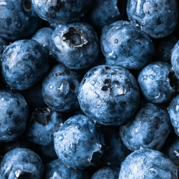 Fresh Blueberries Pint — Fresh Produce at Qihistore Shop