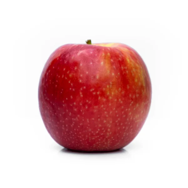 Gala Apple Snack Pack 6-Count — Fresh Produce at Qihistore Shop