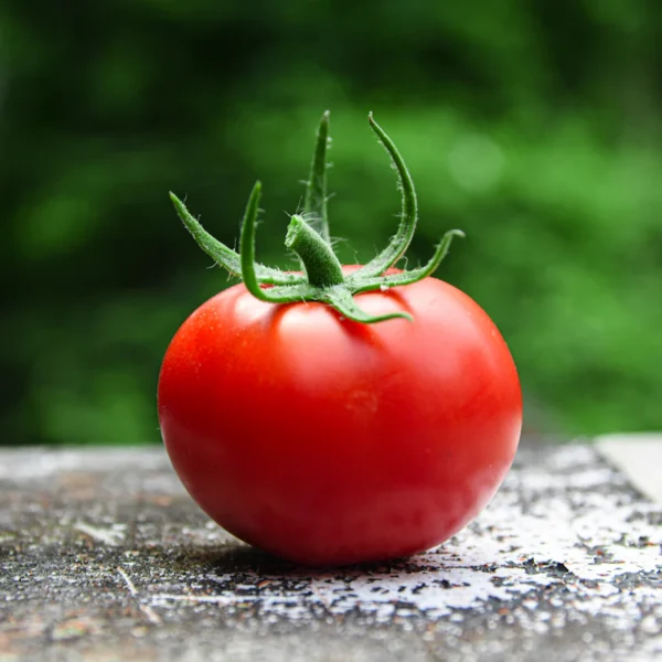 Heirloom Cherry Tomato Medley — Fresh Produce at Qihistore Shop