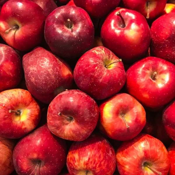 Honeycrisp Apples 3 lb — Fresh Produce at Qihistore Shop