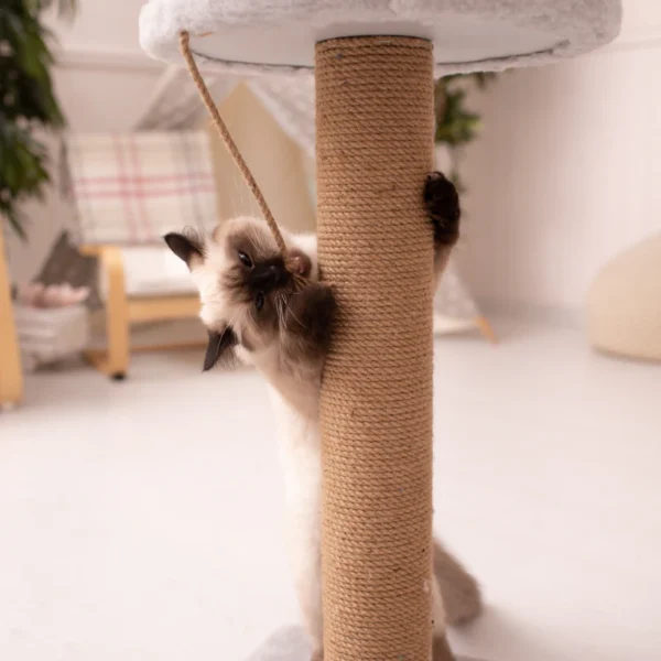 Modern Cat Tree Tower 52" — Pet Supplies at Qihistore Shop