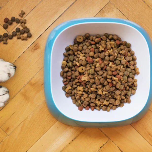 Natural Chicken Dog Treats 16 oz — Pet Supplies at Qihistore Shop