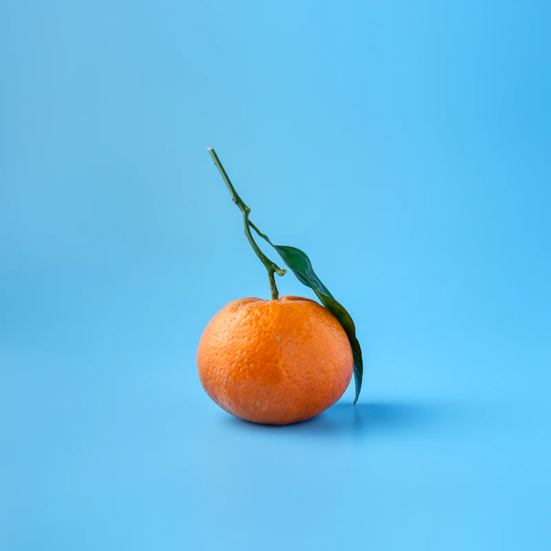 Navel Orange Bag 4 lb β Fresh Produce at Qihistore Shop