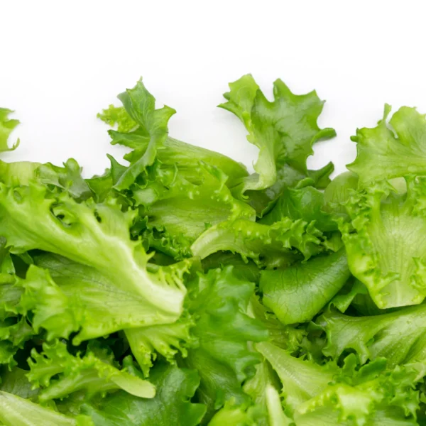 Organic Baby Spinach & Greens Blend — Fresh Produce at Qihistore Shop