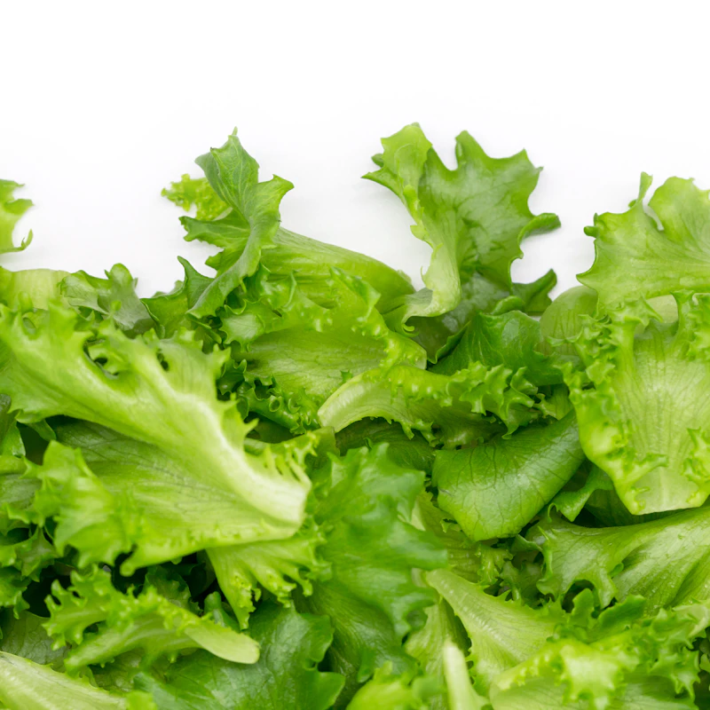 Organic Baby Spinach & Greens Blend β Fresh Produce at Qihistore Shop