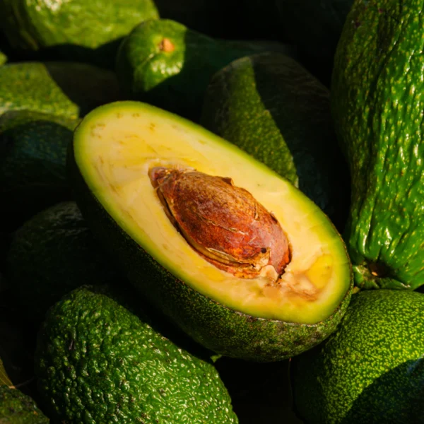 Organic Hass Avocado 4-Pack — Fresh Produce at Qihistore Shop