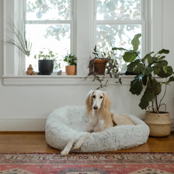 Orthopedic Dog Bed — Medium — Pet Supplies at Qihistore Shop