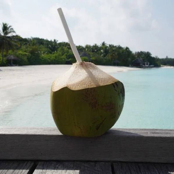 Pure Coconut Water 6-Pack — Beverages at Qihistore Shop