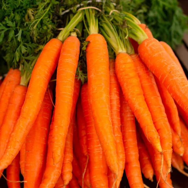 Rainbow Carrot Bunch — Fresh Produce at Qihistore Shop