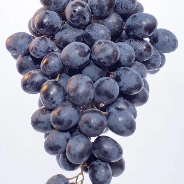 Red Seedless Grapes 2 lb — Fresh Produce at Qihistore Shop