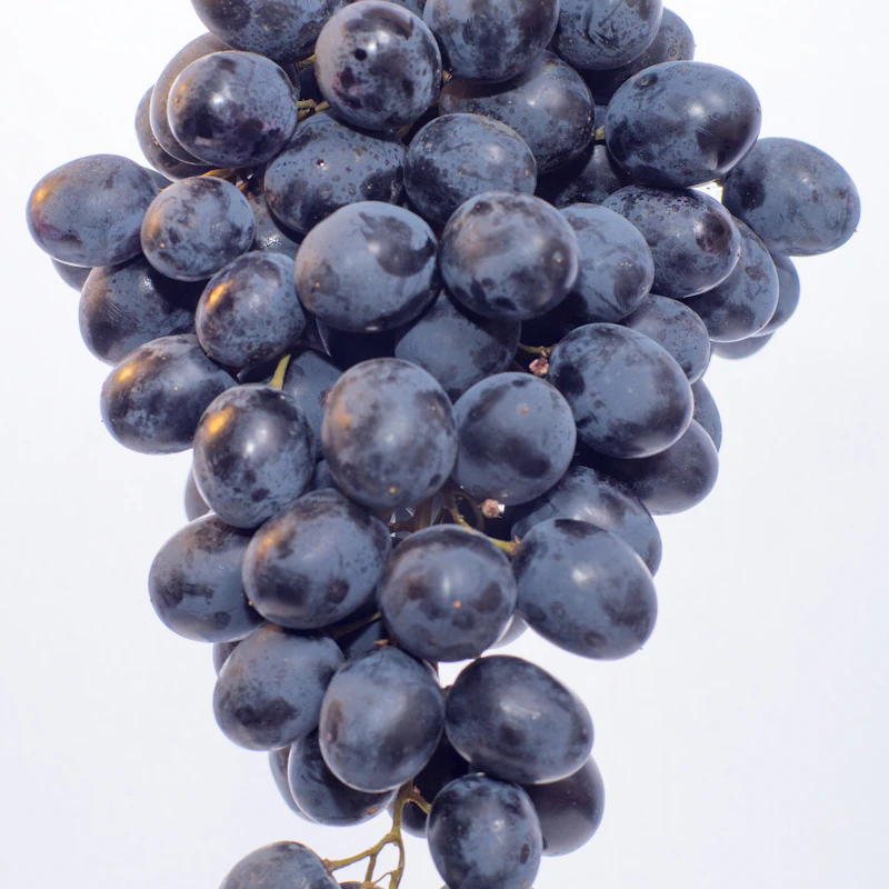 Red Seedless Grapes 2 lb β Fresh Produce at Qihistore Shop