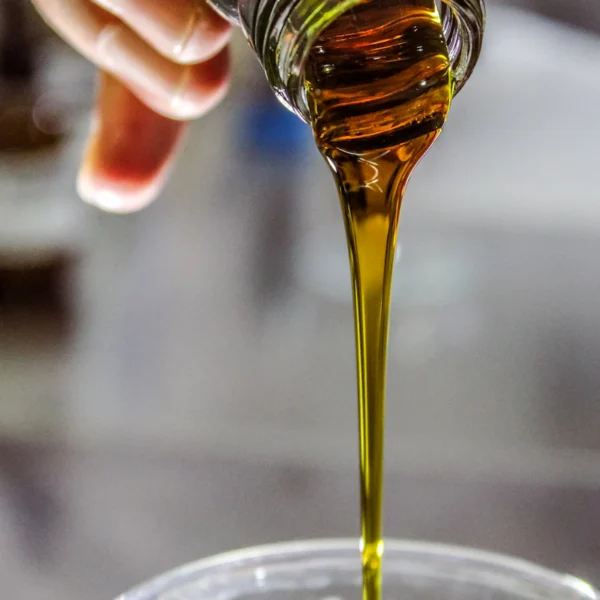 Single-Estate Olive Oil — Robust Blend — Pantry at Qihistore Shop