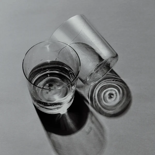 Stemless Wine Glasses (4) — Home & Kitchen at Qihistore Shop