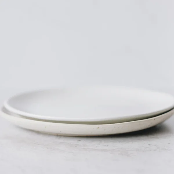 Stoneware Dinner Plate Set of 4 — Home & Kitchen at Qihistore Shop