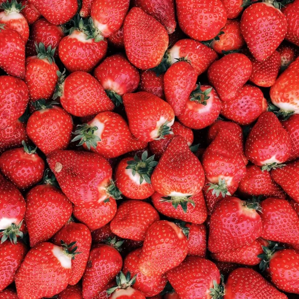 Sweet Strawberries Family Pack 2 lb — Fresh Produce at Qihistore Shop