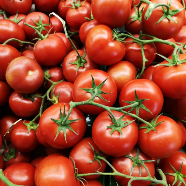 Vine-Ripened Tomatoes 1.5 lb — Fresh Produce at Qihistore Shop